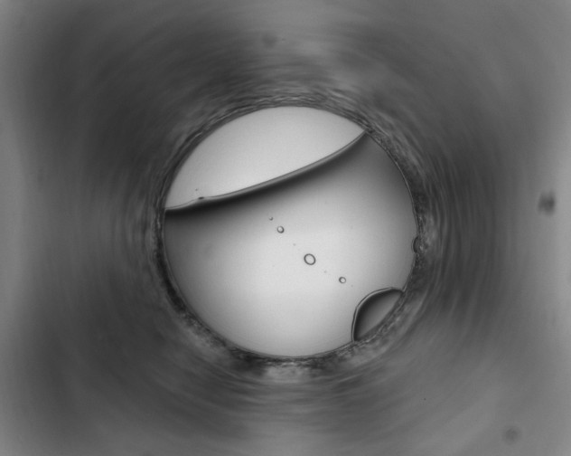 X0000103150470200808221133