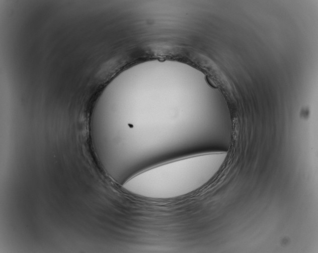 X0000103150471200808221133