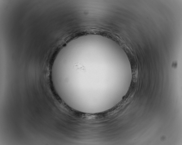 X0000103150472200808221133