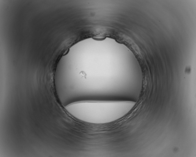 X0000103150473200808221133