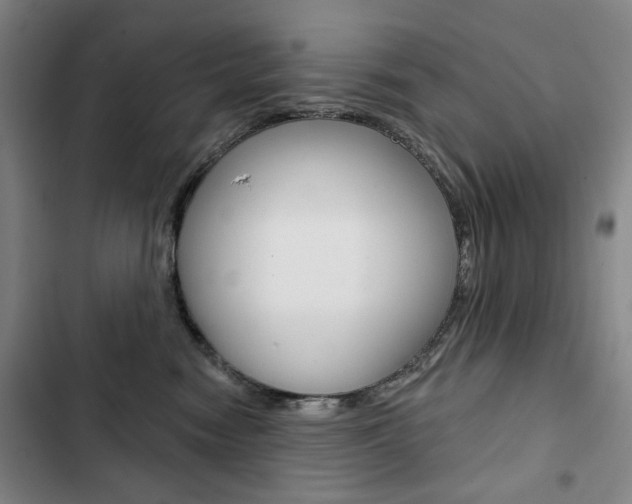 X0000103150474200808221133