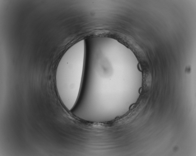 X0000103150475200808221133