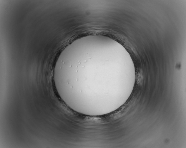 X0000103150476200808221133