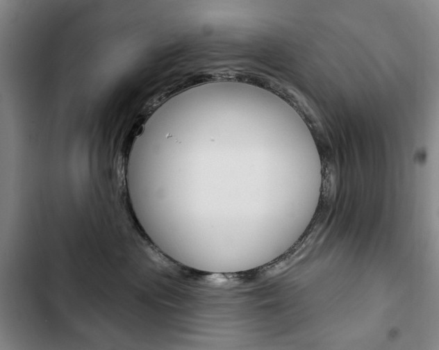 X0000103150477200808221133