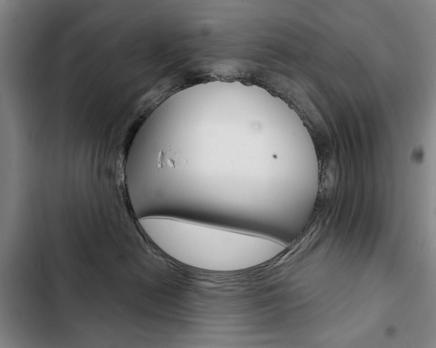 X0000103150478200808221133