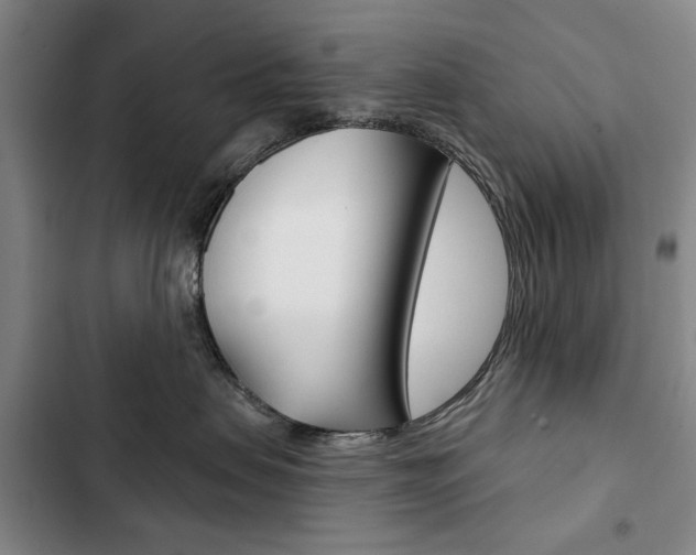 X0000103150479200808221133