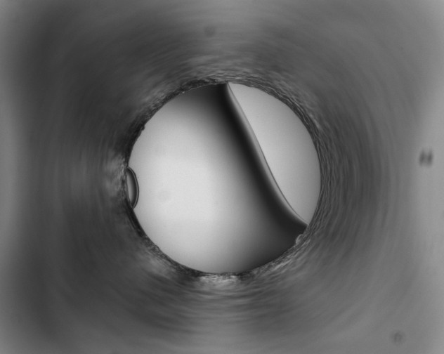X0000103150480200808221133