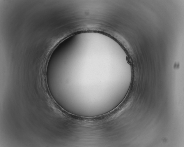 X0000103150481200808221132