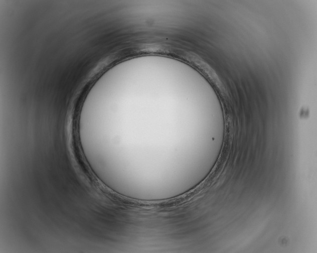 X0000103150482200808221132