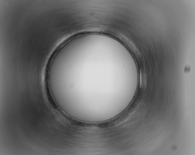 X0000103150483200808221132