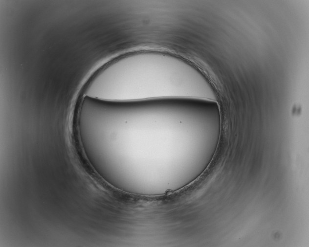 X0000103150484200808221132