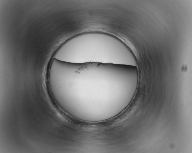 X0000103150485200808221132