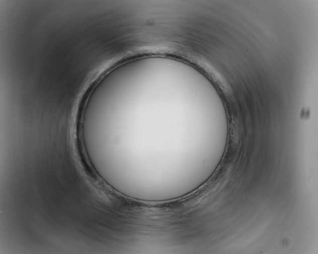 X0000103150486200808221132