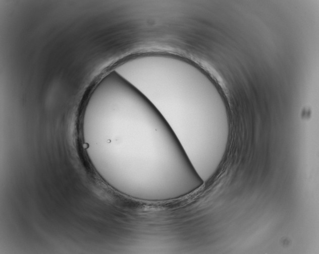 X0000103150487200808221132