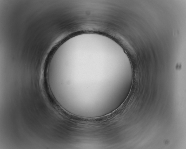 X0000103150488200808221132