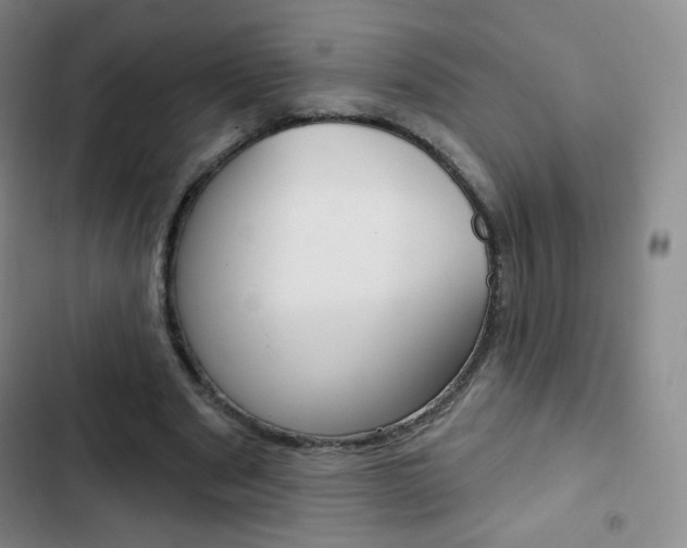 X0000103150489200808221132