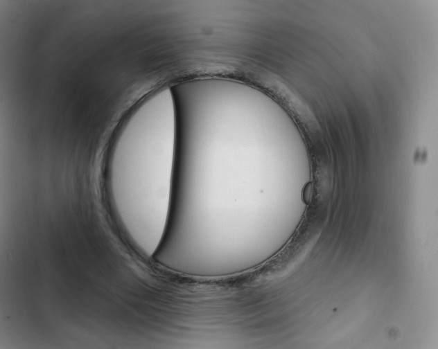 X0000103150490200808221132