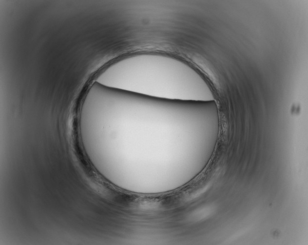 X0000103150491200808221132
