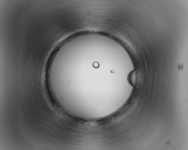 X0000103150492200808221132
