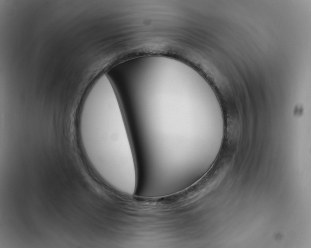X0000103150493200808221132