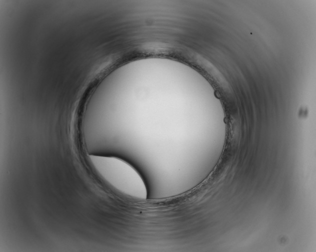 X0000103150494200808221132