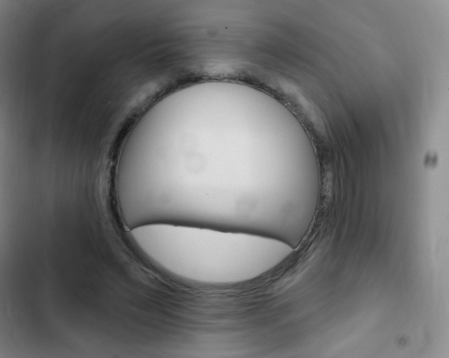 X0000103150495200808221132