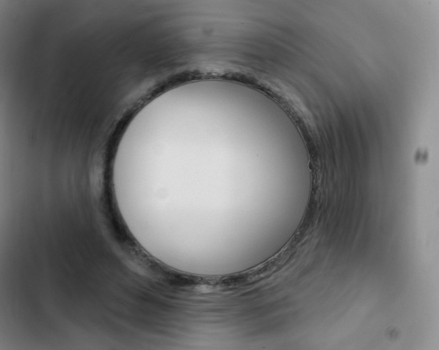 X0000103150496200808221132