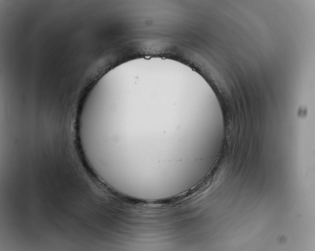 X0000103150497200808221132