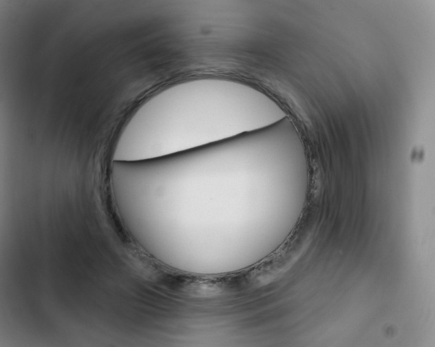 X0000103150498200808221132