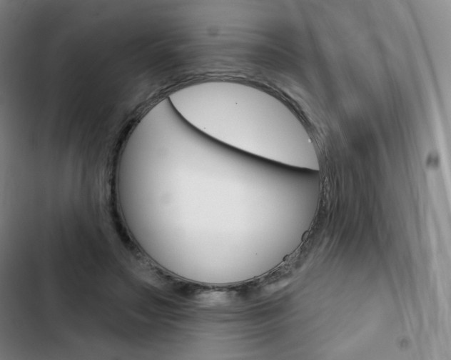 X0000103150499200808221132
