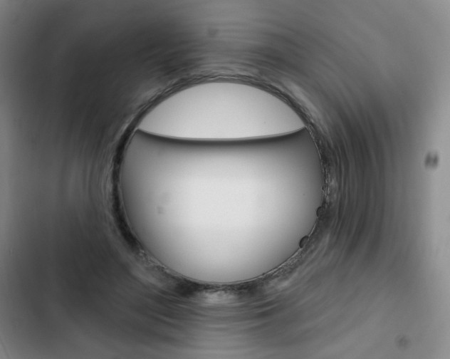 X0000103150500200808221132