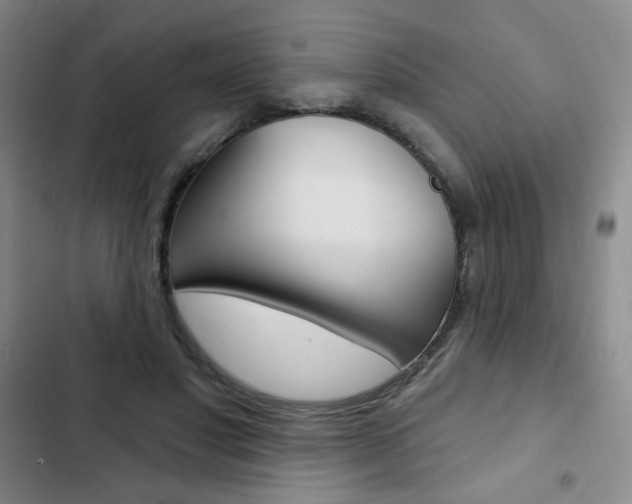X0000103150501200808221132