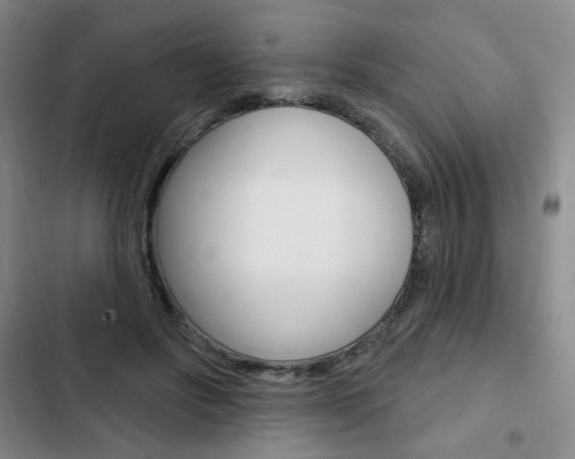 X0000103150502200808221132