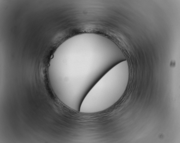 X0000103150503200808221132