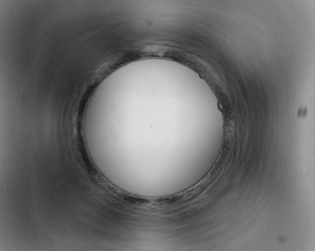X0000103150504200808221132