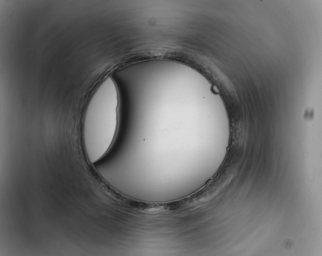 X0000103150505200808221132