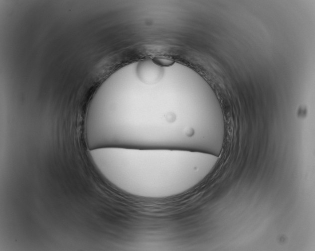 X0000103150507200808221132