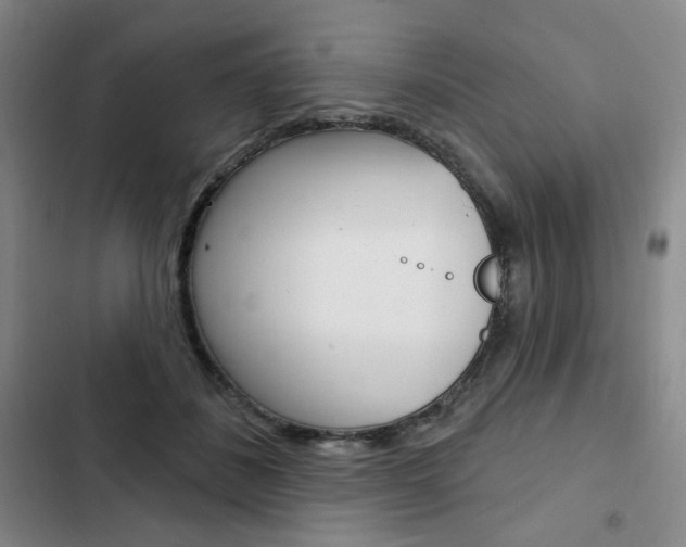 X0000103150508200808221132