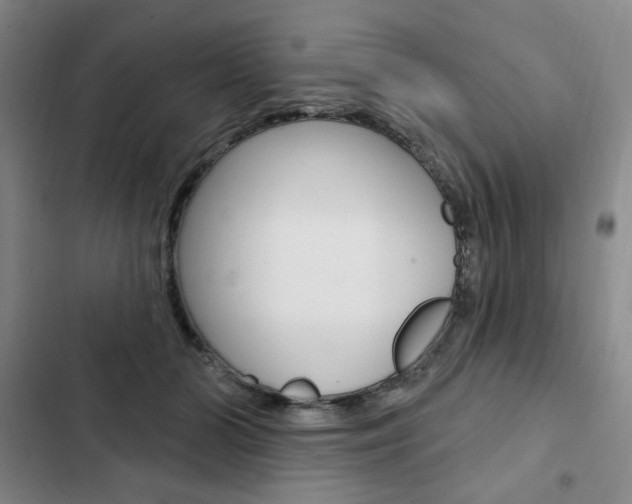 X0000103150510200808221132