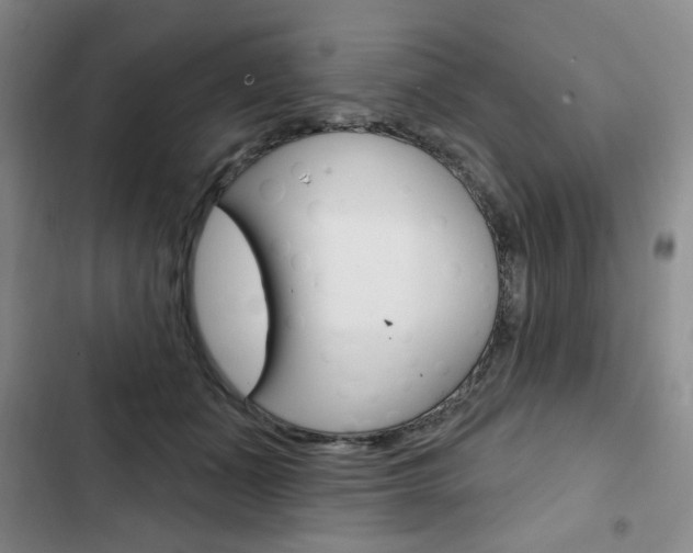 X0000103150511200808221132