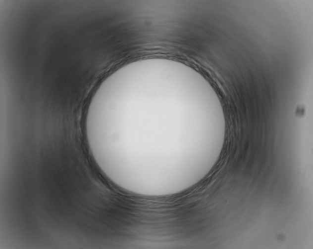 X0000103150512200808221132