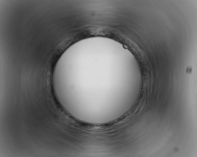 X0000103150513200808221132