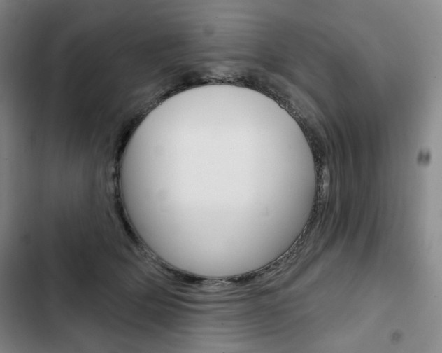X0000103150514200808221132