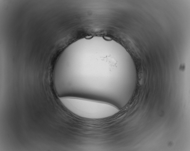 X0000103150515200808221132