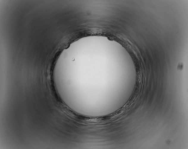 X0000103150516200808221132