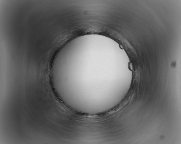 X0000103150517200808221132