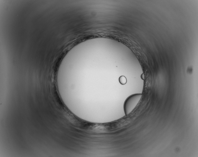 X0000103150518200808221131
