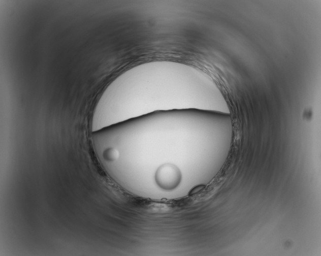 X0000103150519200808221131