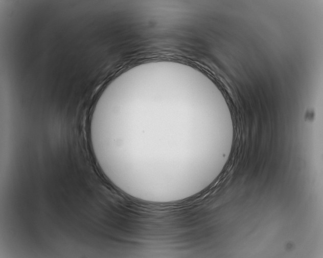 X0000103150520200808221131