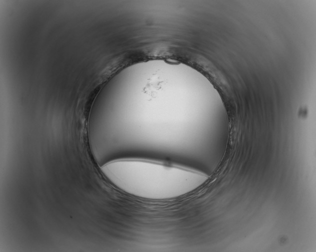 X0000103150521200808221131